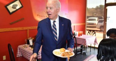 Biden Genetically Predisposed To Getting Away With It.