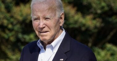Biden Gets Confused About Congress, Ukraine, and 'Consequences' for Putin – RedState