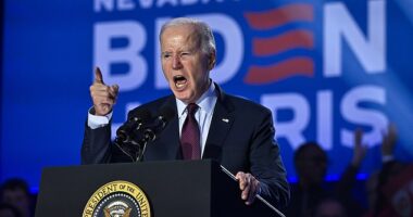 President Joe Biden headlined a campaign rally Sunday in Las Vegas ahead of Nevada's Democratic primary. While he was widely expected to win against self-help guru Marianne Williamson, the purpose was two-fold, as Nevada is a swing state in the general election