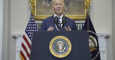 President Joe Biden placed blame for Alexei Navalny 's death squarely on Russian President Vladimir Putin - and froze up when trying to articulate an attack on former President Donald Trump over his recent comments on Russia