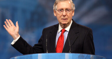 Biden's Border Bill Is McConnell's Blunder