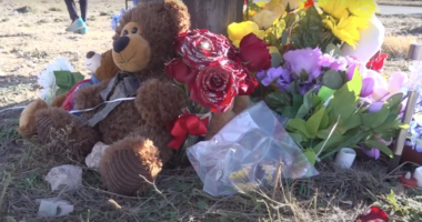 Alex Wise Jr. memorial