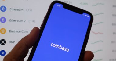 Bitcoin ETF activity has been ‘additive’ to crypto demand, says Robinhood CFO