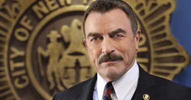 ‘Blue Bloods’ Season 14 Guide to Cast & New Characters