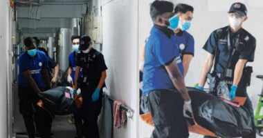 Body of woman, 60, found rotting in neighbour's HDB flat in Alexandra - Mothership.SG