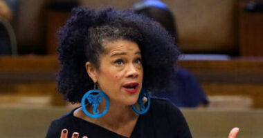 Boston Democrat City Council Member Julia Mejia Wants Suburbanites to House Illegals in Their Homes