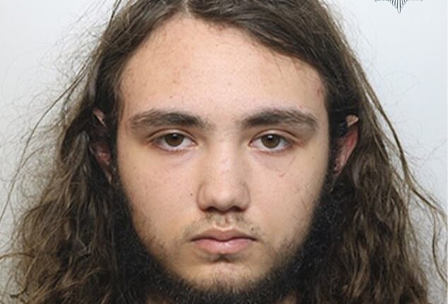 Eddie Ratcliffe (pictured) murdered 16-year-old Brianna Ghey alongside his female accomplice Scarlett Jenkinson