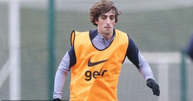 Brighton have rekindled their attempts to sign Tottenham attacker Bryan Gil on a loan deal