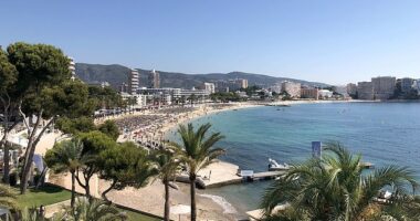 Spanish state prosecutors said before David McPaul Wigging's trial today in Majorca they wanted him jailed for nine years if convicted of the May 9 2023 sex attack (file image of Magaluf)