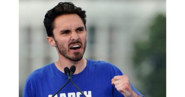 Bro, Take the L! David Hogg Tries Picking a Fight With Matt Walsh and WOOF, Someone Better Call 9-1-1