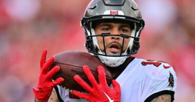 Browns Advised to Pursue Mike Evans After Tee Higgins Tagged