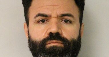 Afshin Alikhani, 43, was jailed for 11 years after he was caught importing over 100 gallons of the lethal date rape drug GBL