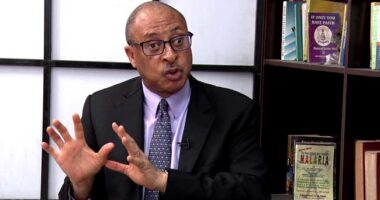 CBN contributed to fall of Naira by some missteps they made in the last few years ? Pat Utomi