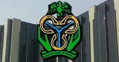 CBN raises import duty rate by another 4.4% in 24 hours