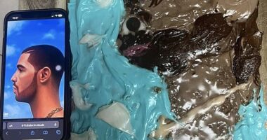 One saw a fan of Canadian rapper Drake attempt to design a confectionary to look like him, which ended in disaster