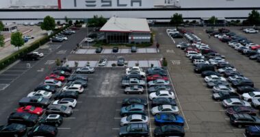 California counties sue Tesla for allegedly mishandling hazardous waste