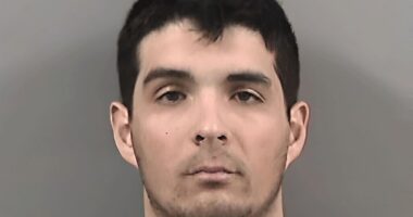 Ari Herbertson, 32, was ordered to pay the sum earlier this week in civil court in California, after already serving a year in jail in connection to alleged incident