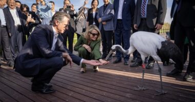 California's Budget Deficit Causes Sticker Shock – HotAir