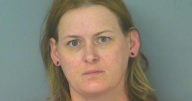 Caretaker Who Let Baby and Dog Die in Hot Car Charged With Murder