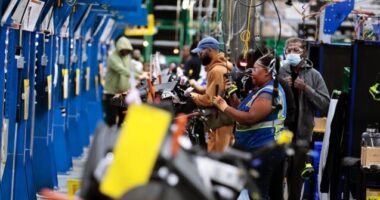 Carney on ‘Kudlow’: The Jobs Numbers Are Real and Not Just Government Workers