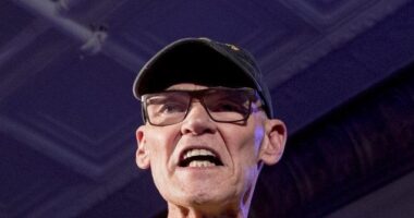 Carville: Dems Must 'Pummel' GOP as 'Nazi Hags' Banning Books