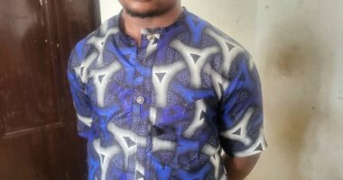 Chef masterminds kidnap of his employer