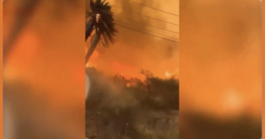 Chile Burned To The Ground: “It’s Maui All Over Again!”