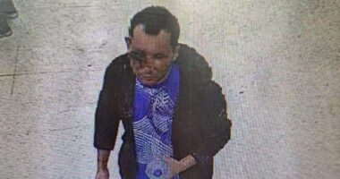 Clapham attack: Police issue £20,000 reward in hunt for Abdul Ezedi and issue warning to anyone helping fugitive