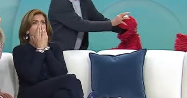 Larry David surprised hosts of NBC's Today show when he crashed their set and spontaneously attacked Elmo on live TV, before being asked to apologize to the Sesame Street character