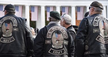 Congress Funds Ukraine While The VA Processes Illegals' Health Care Costs