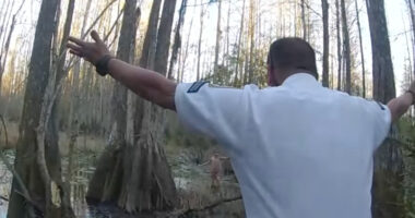 Cops Rescue 5-Year-Old Girl With Autism from Florida Swamp