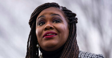 Cori Bush: GOP Rep's Attack on Me Was 'Racist and Sexist Tropes'