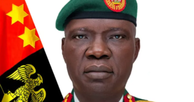 Corpses in Army mortuaries decomposing due to blackout, COAS laments