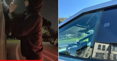 A carjacker in California just got a taste of the Tesla Cybertruck's 'Sentry Mode' — a feature that turns the electric vehicle's 'autopilot' cameras into a security system. The failed break-in was caught on video, along with the perpetrator's uncovered face, by the Oakland-area resident and aspiring musician who owns the heavily fortified EV, which withstood multiple attacks thanks to it's 'armored glass' windows.