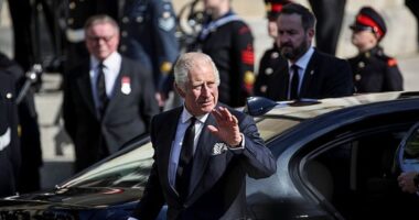 DEVELOPING: King Charles III Diagnosed With Cancer | Undergoing Treatment