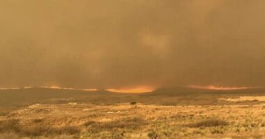 DEVELOPING: Wildfires Ravage Texas Panhandle, Gov. Abbott Issues Disaster Declaration
