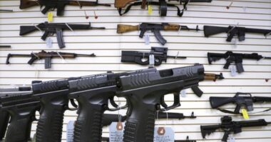 Dana Loesch Chops It Up With New Yorker Facing Prosecution for Exercising Second Amendment Rights – RedState