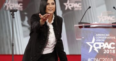 Dana Loesch Obliterates Gavin Newsom's Laughable Take on Biden's 'Master Class' Presidency