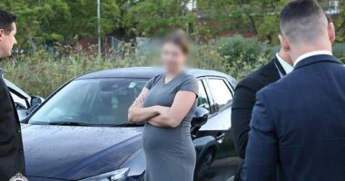 Rhylee Stig, 23 (above) has been arrested for the alleged murder of heavily tattooed David Stemler, who was shot dead in a 2am gangland-style attack last July
