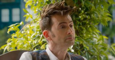 David Tennant Doubles Down On Doctor Who 60th Anniversary Fate