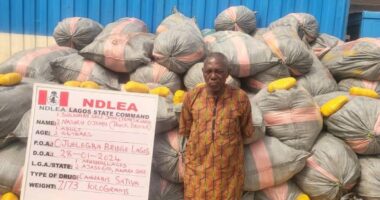 Deaf and Dumb person arrested for trafficking drugs in Kaduna (photos)