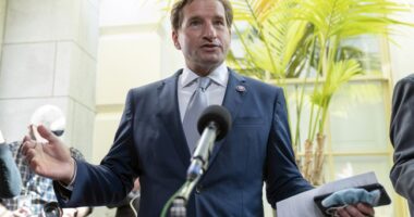 Dean Phillips Shames All of Us for Pretending That Joe Biden Is OK