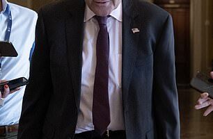 Sen. Majority Leader Chuck Schumer, D-N.Y.