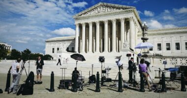 Democrat Lawyer Tells SCOTUS Only One Party Can Rig Elections