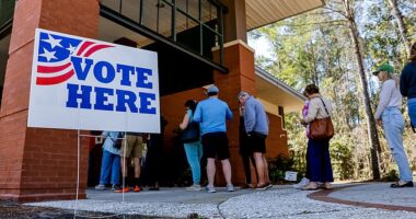 Democratic and anti-Trump Republicans are turning out to cast their ballot for Nikki Haley in an effort to close the gap with Donald Trump in the South Carolina primary election on Saturday