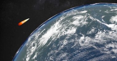 Dolly Parton Had a Coat of Many Colors. Joe Biden's Threat Level Only Has One. – HotAir