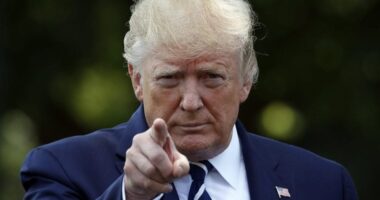 Donald Trump Picks Up Another Endorsement From Top Republican Senator