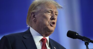 Donald Trump Privately Supports a Very Specific Abortion Compromise – RedState