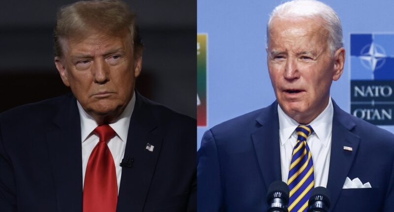 Donald Trump Trolls President With Shady Video