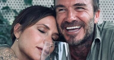 A nice bottle of wine with dinner is one of life¿s pleasures, but in the Beckham household, any old plonk won¿t do
